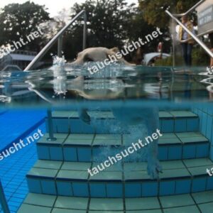 Hundeschwimmen Gauting 2026 - Foto vom 20.09.2026 um 17:43:43 Uhr